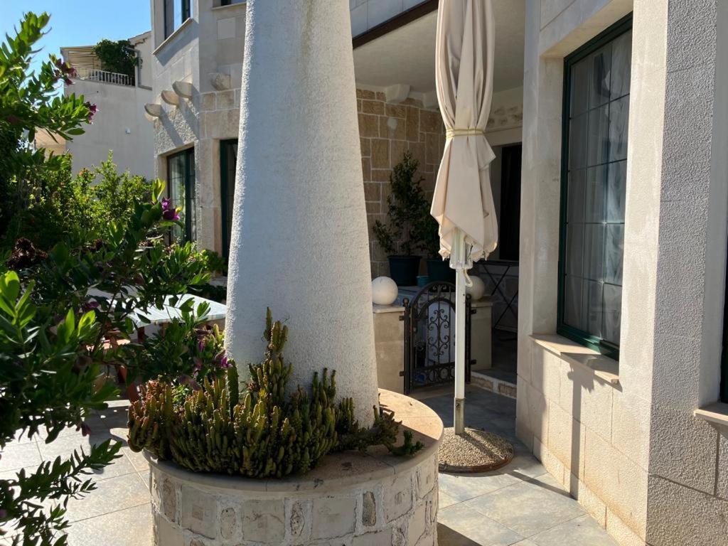 Apartments Villa Domus Marini Hvar Town Room photo